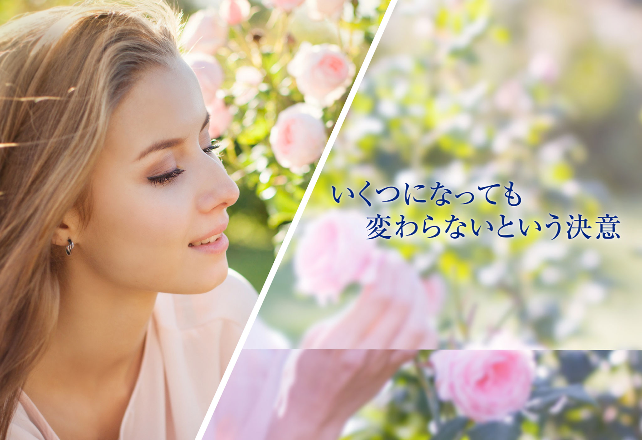 AiRevo アイレボ AIクリーム AAPE AiRevo アイレボ AIクリーム AAPE 【公式通販】